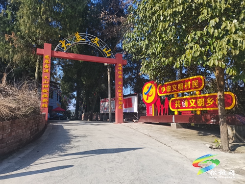 文明實踐典型案例 ?｜文明十三巷