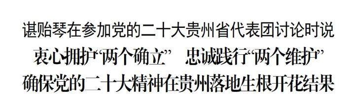 諶貽琴參加黨的二十大貴州省代表團(tuán)討論