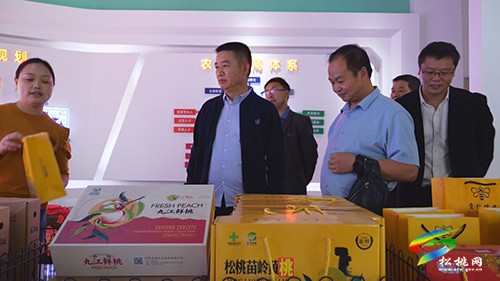 黨的二十大報告在松桃干部群眾中引起強烈反響
