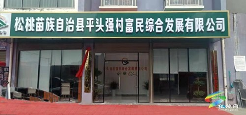 平頭鎮(zhèn)：黨建引領(lǐng)“1311”工作法，構(gòu)建鄉(xiāng)村治理“新格局”