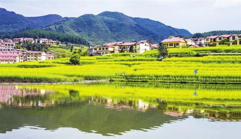 【二十大時(shí)光】仁懷市：櫛風(fēng)沐雨踐初心 砥礪前行續(xù)華章