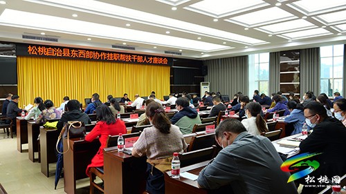 松桃召開東西部協(xié)作掛職幫扶干部人才座談會