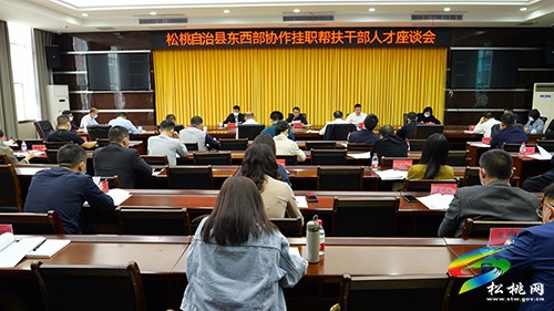 松桃召開東西部協(xié)作掛職幫扶干部人才座談會