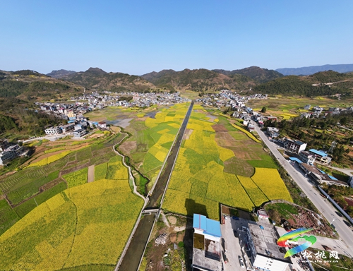甘龍鎮(zhèn)：壯大產業(yè)發(fā)展 助推鄉(xiāng)村振興