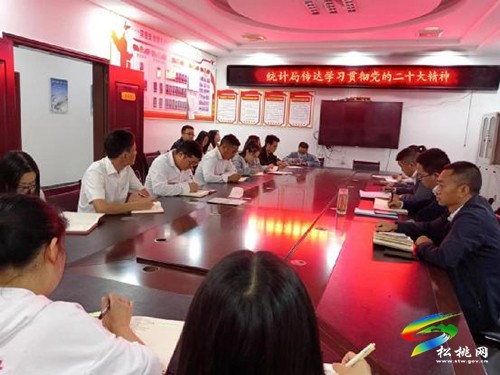 松桃統(tǒng)計(jì)局召開會議傳達(dá)學(xué)習(xí)貫徹黨的二十大精神