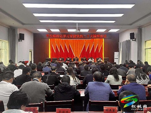 平頭鎮(zhèn)召開會議傳達學習貫徹黨的二十大精神