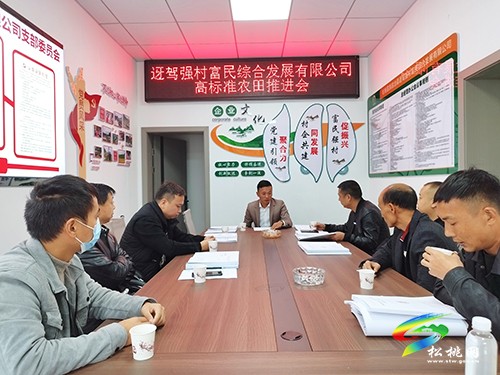 迓駕鎮(zhèn)：推進高標準農(nóng)田建設，助力鄉(xiāng)村振興