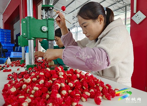 大路鎮(zhèn):家門口可就業(yè) 微工廠促增收