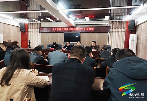 松桃鄉(xiāng)村振興局召開會議學(xué)習(xí)貫徹黨的二十大精神