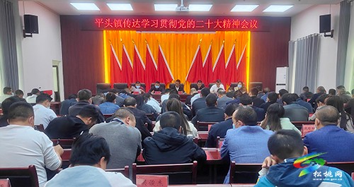 【“一把手”談貫徹落實(shí)黨的二十大精神】平頭鎮(zhèn)：矢志不渝 篤行不怠 奮力譜寫“四個(gè)平頭”高質(zhì)量發(fā)展新篇章