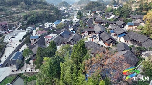 苗歌宣講二十大  “喇叭”響起傳萬(wàn)家