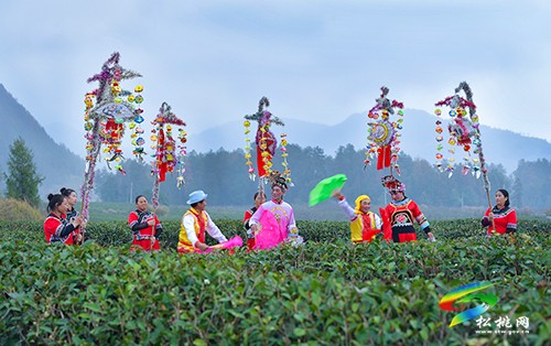 松桃：茶燈宣講傳黨音