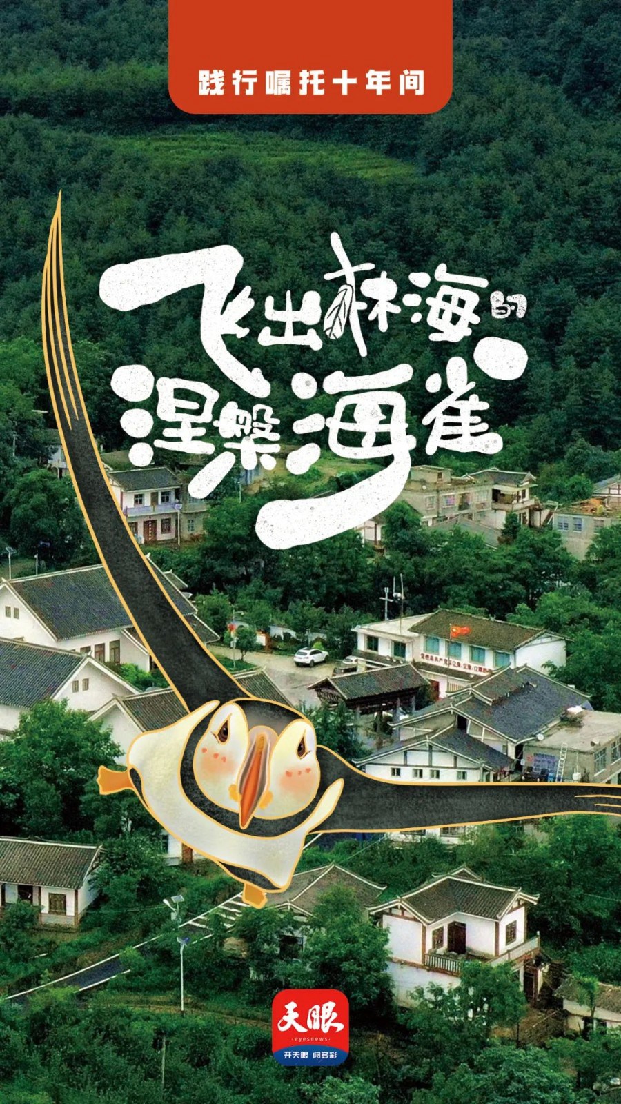 踐行囑托十年間 | 我叫海雀，翱翔海雀