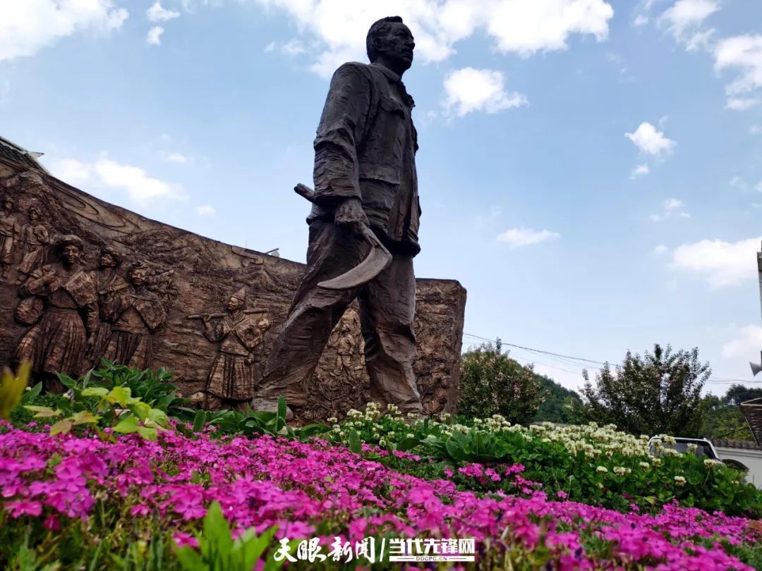踐行囑托十年間 | 我叫海雀，翱翔海雀