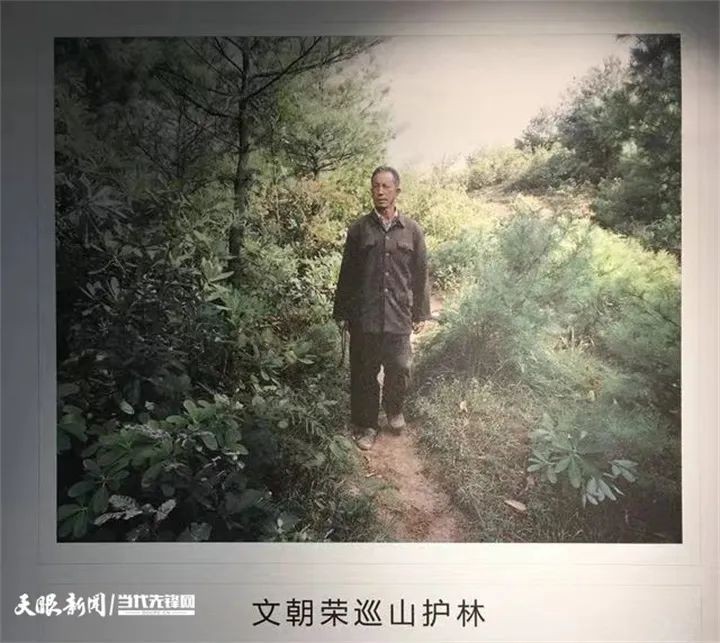 踐行囑托十年間 | 我叫海雀，翱翔海雀