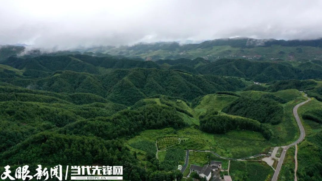 踐行囑托十年間 | 我叫海雀，翱翔海雀