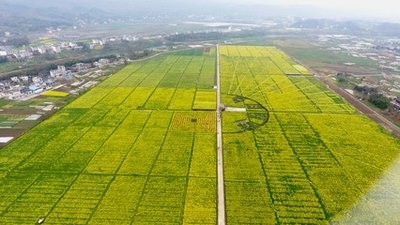 【幸福秀起來我來聊家鄉(xiāng)】廖珊珊：黔中首郡?烏江明珠