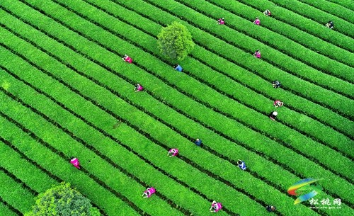 松桃5位攝影家獲獎(jiǎng)！黔像記憶·第14屆貴州省攝影藝術(shù)展評(píng)選揭曉