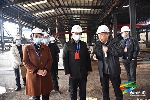 縣政協(xié)組織開(kāi)展新型工業(yè)化專(zhuān)題視察