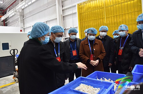 縣政協(xié)組織開(kāi)展新型工業(yè)化專(zhuān)題視察