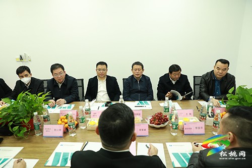 龍群躍率隊(duì)赴東莞招商考察