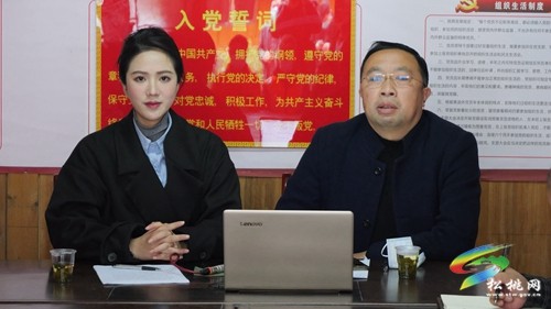 松桃：“1+1”宣講隊走進桃花源景區(qū)