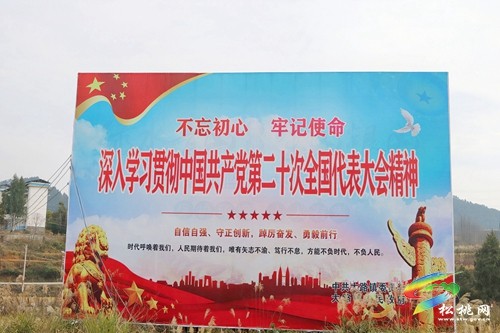 大路鎮(zhèn)：多舉措推動黨的二十大精神落地生根