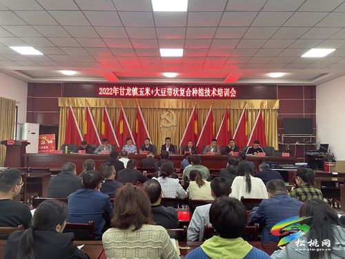 甘龍鎮(zhèn)：精準(zhǔn)發(fā)力培育鄉(xiāng)村振興人才隊(duì)伍