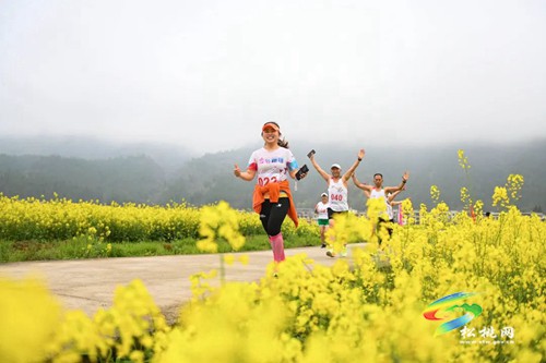 以茶為媒 以茶會友——普覺鎮(zhèn)第三屆采茶節(jié)火熱舉辦