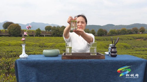 以茶為媒 以茶會友——普覺鎮(zhèn)第三屆采茶節(jié)火熱舉辦
