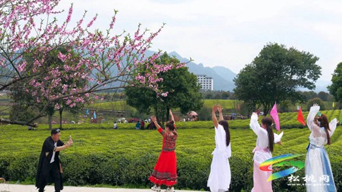 以茶為媒 以茶會友——普覺鎮(zhèn)第三屆采茶節(jié)火熱舉辦