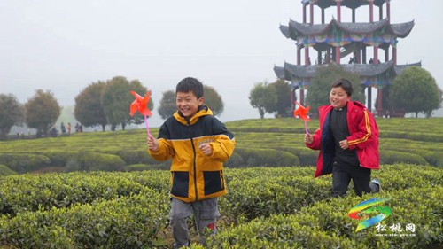 以茶為媒 以茶會友——普覺鎮(zhèn)第三屆采茶節(jié)火熱舉辦