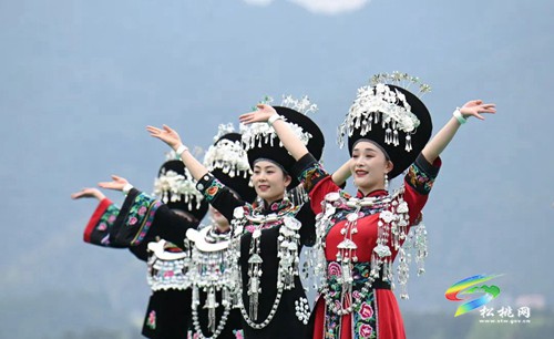 以茶為媒 以茶會友——普覺鎮(zhèn)第三屆采茶節(jié)火熱舉辦
