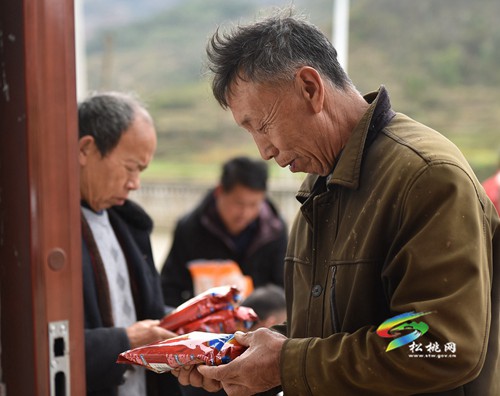 松桃：發(fā)放優(yōu)質(zhì)種子 助力春耕備耕