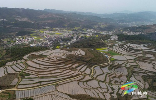 松桃：村美民富產(chǎn)業(yè)興