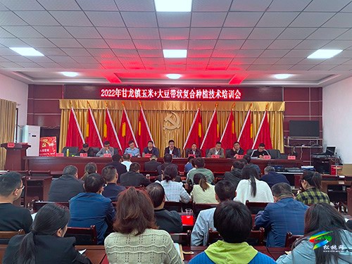 甘龍鎮(zhèn)：聚焦“四法”強(qiáng)培訓(xùn)，推進(jìn)鄉(xiāng)土人才隊(duì)伍建設(shè)