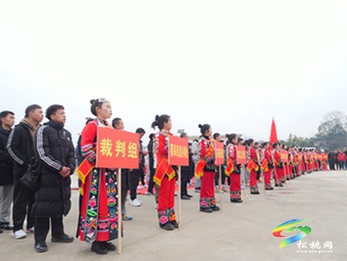 蓼皋街道首屆鄉(xiāng)村振興“強村富民杯”籃球賽成功舉辦