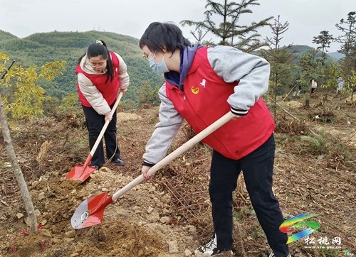 松桃：新年上班第一天 義務(wù)植樹添新綠