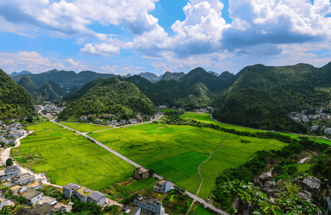 全省文旅局長(zhǎng)（文物局長(zhǎng)）電視電話會(huì)議召開