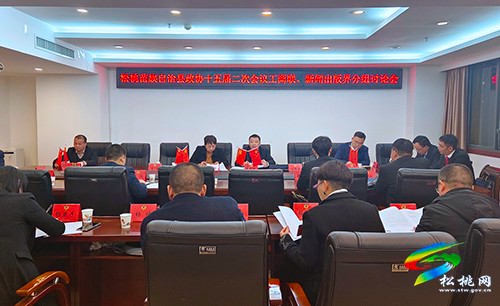 縣政協(xié)十五屆二次會議進行分組討論