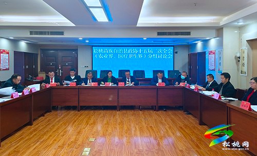 縣政協(xié)十五屆二次會議進行分組討論