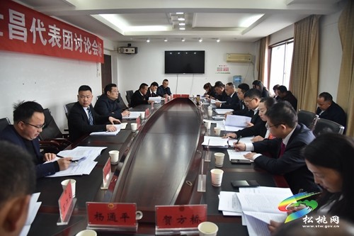 縣十七屆人大二次會(huì)議進(jìn)行分組討論