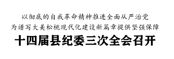 十四屆縣紀(jì)委三次全會召開