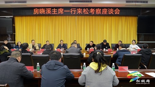 中國文化產(chǎn)業(yè)促進會動漫游戲文化委員會來松桃考察座談會召開