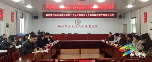 云南省硯山縣到松桃民族中醫(yī)院考察中醫(yī)特色項目