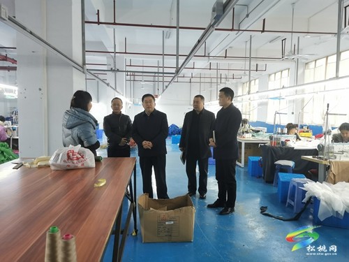 吳家永到企業(yè)開展安全生產督導檢查