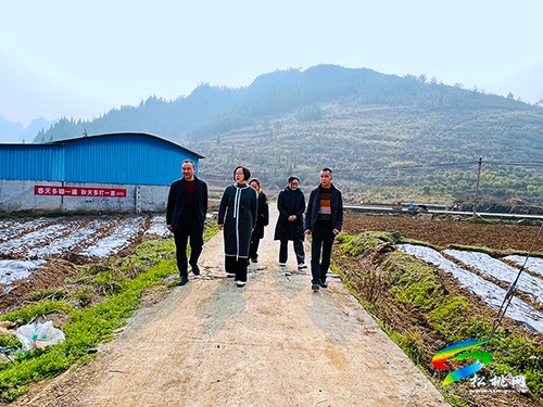 石小莉到寨英鎮(zhèn)、正大鎮(zhèn)開展春耕生產(chǎn)、教育教學(xué)工作調(diào)研
