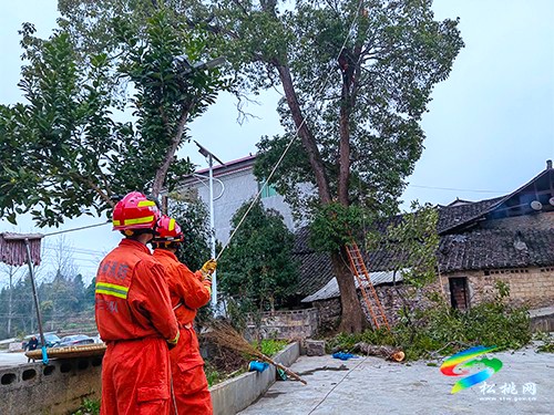 松桃消防為民砍樹排除安全隱患