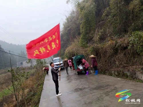【大美松桃文明行】平頭鎮(zhèn)：開(kāi)展“攜手護(hù)綠愛(ài)綠，共建美麗家園”志愿服務(wù)活動(dòng)