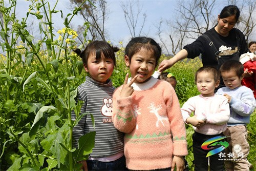 【奮進(jìn)的春天】春回大地 油菜花“金”艷綻放